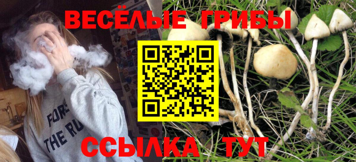 Галлюциногенные грибы Magic Shrooms  Вход с VPN  продажа наркотиков  Можга  Псилоцибиновые грибы Psilocybine cubensis 